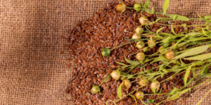 Flax Seeds