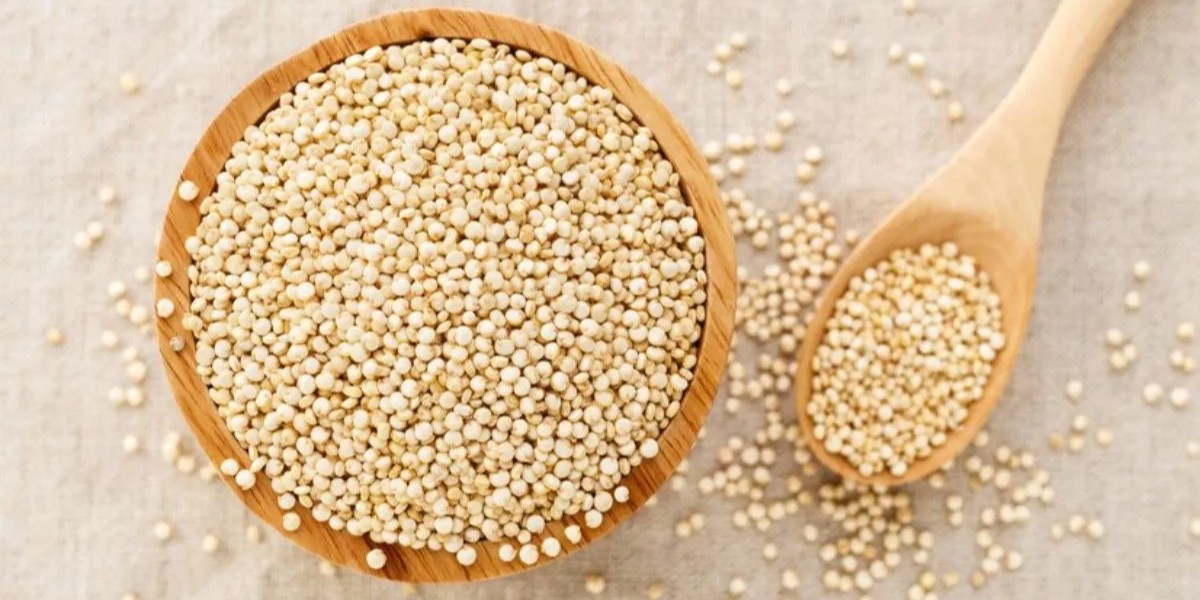 क्विनोआ